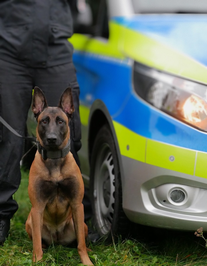 POL-HA: Diensthündin Pixel stellt Einbrecher und zieht ihn am Arm aus einem Schrank