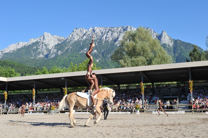 04.-07.06.2015: Haflinger-Weltausstellung in Ebbs/Tirol