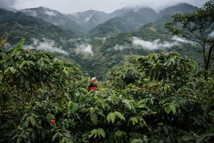 Fairtrade setzt sich für bessere Lebens- und Arbeitsbedingungen von Kleinbäuerinnen und -bauern ein, beispielsweise im Kaffeeanbau, sowie für Beschäftigte auf Plantagen. / Weiterer Text über ots und www.presseportal.de/nr/52482 / Die Verwendung dieses Bildes für redaktionelle Zwecke ist unter Beachtung aller mitgeteilten Nutzungsbedingungen zulässig und dann auch honorarfrei. Veröffentlichung ausschließlich mit Bildrechte-Hinweis.