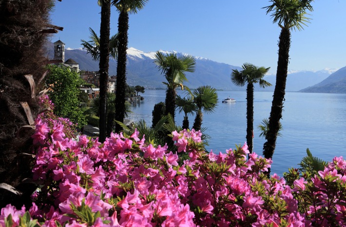 Aufblühen im Tessin - Garten und Park News 2015