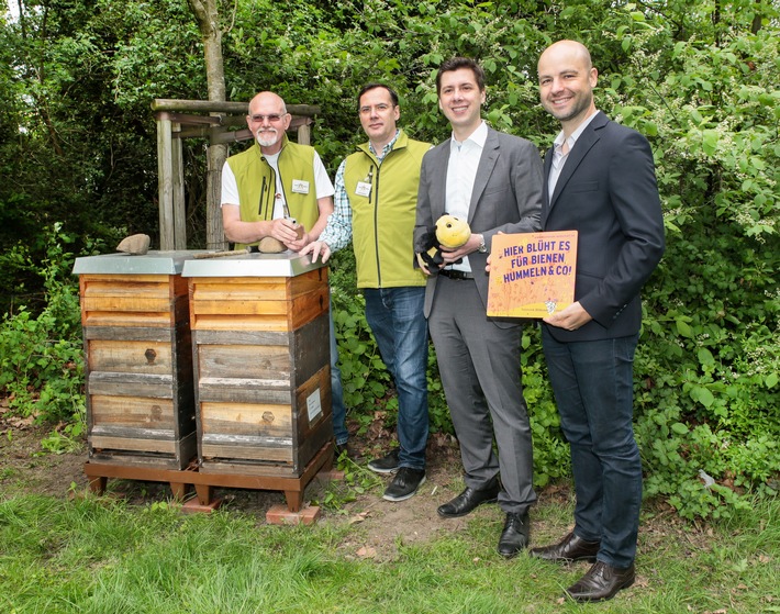 ALDI SÜD schwärmt für Bienen: Mehr als 700.000 Quadratmeter Lebensraum für Insekten