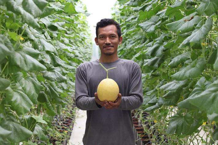DEG fördert innovativen Anbau von Obst und Gemüse in Indonesien / Unternehmen &quot;Sweet Greens&quot; setzt mit Hydroponik auf ressourcenschonenden Anbau