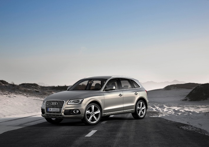 AUDI AG: prior-year sales total exceeded after 11 months (BILD)