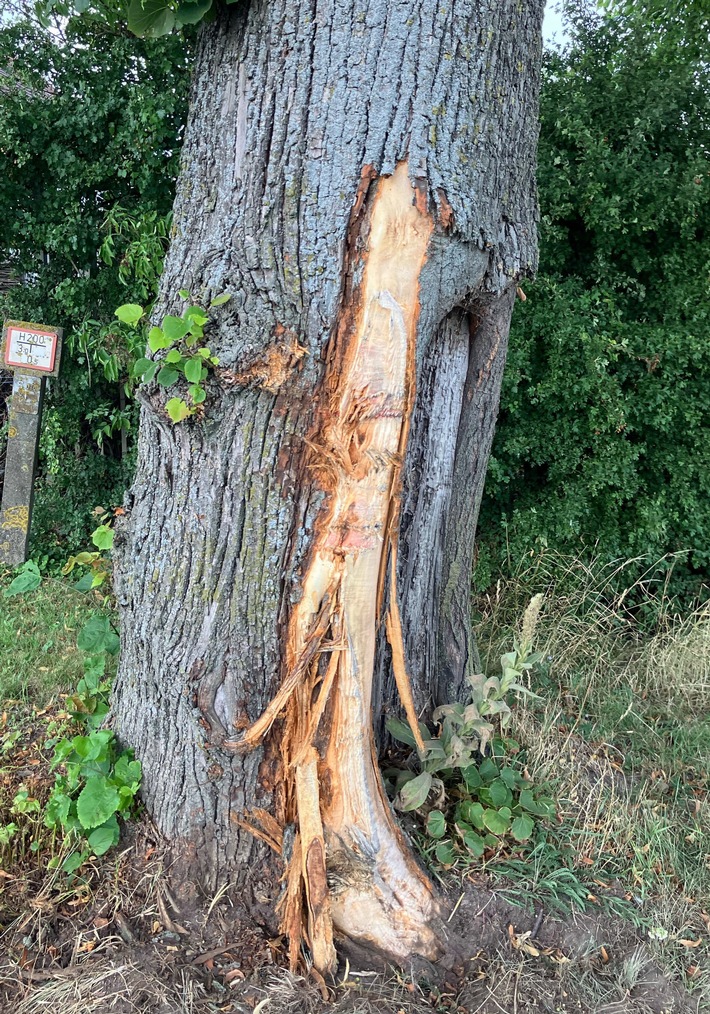 POL-KLE: Rees - Unbekannter Verkehrsteilnehmer beschädigt Straßenbaum und entfernt sich: Polizei nimmt Ermittlungen auf und sucht Zeugen