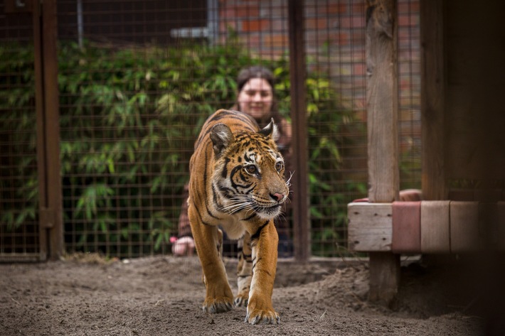 Neues Leben für die ersten geretteten Tiere aus dem ehemaligen Zoo Luján