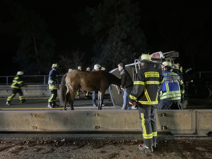 FW-DO: Auffahrunfall mit 5 Fahrzeugen auf der A45 - Pferdeanhänger umgekippt.