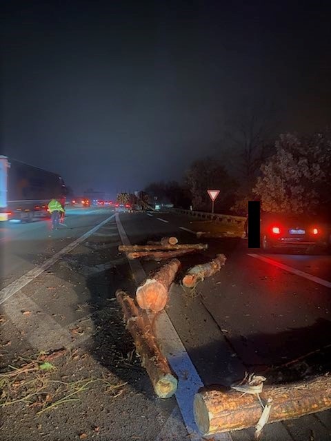 POL-WL: Baumstämme blockierten Fahrbahn