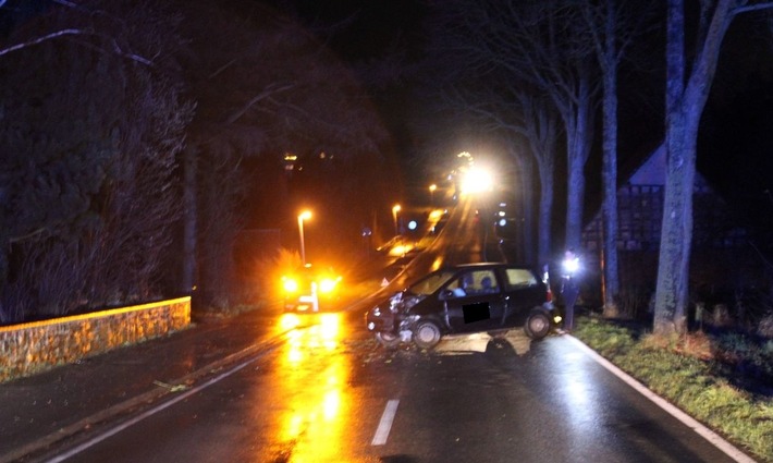 POL-MI: Tier ausgewichen: Auto prallt frontal gegen Baum