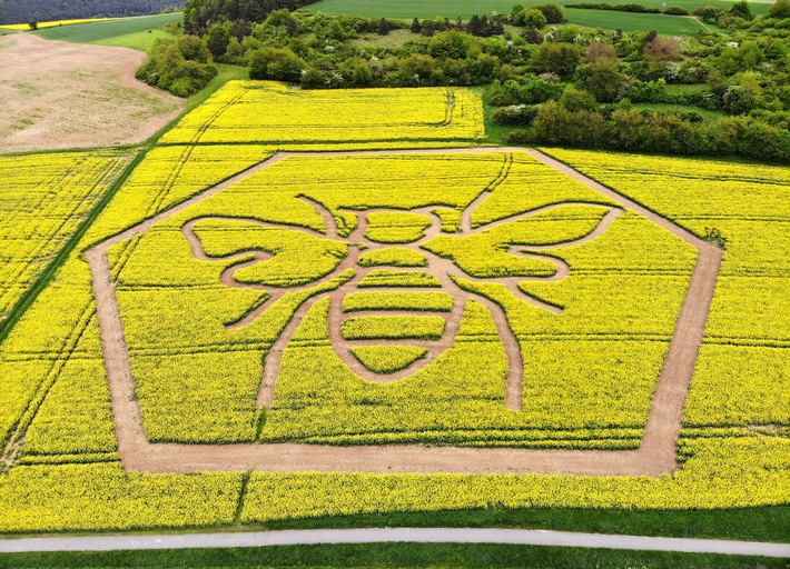 Weltbienentag 2019 - 20. Mai ist World Bee Day