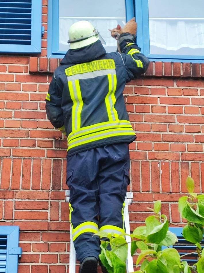 FW Celle: Das hat nicht gepasst - Celler Feuerwehr rettet Katze aus misslicher Lage!