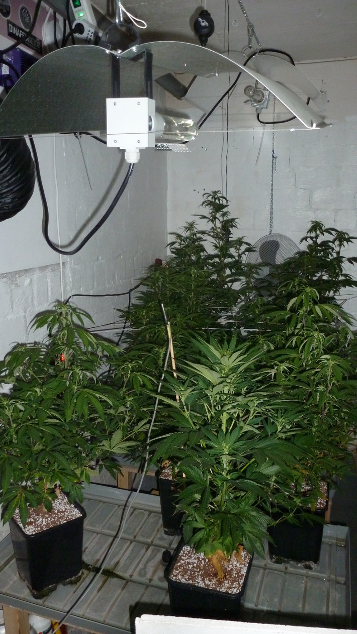 POL-NOM: Cannabisplantage in Nörten-Hardenberger Kellerwohnung
