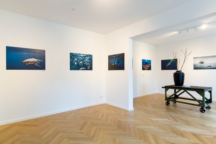Mode, Kunst und Meeresschutz - das passt zusammen / In München eröffnet die erste Pop-up Gallery zu den nachhaltigen Themen Meeresschutz, Umwelt und Sustainable Fashion in Kooperation mit North Sails