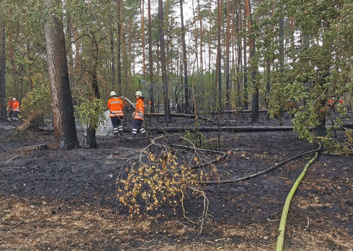 FW Lüchow-Dannenberg: +++Vegetationsbrand in Lüchow-Dannenberg+++Großeinsatz mit ca. 250 Feuerwehrkräften+++Brand schnell unter Kontrolle+++