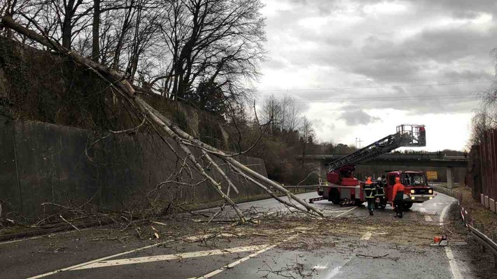 POL-FR: Schopfheim:  Zwei Unfälle durch umgestürzte Bäume - Feuerwehreinsatz