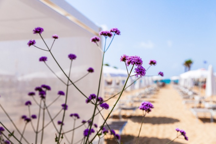 Beach time! Die breiten Sandstrände um Venedig mit ihrem Sommerprogramm 2023