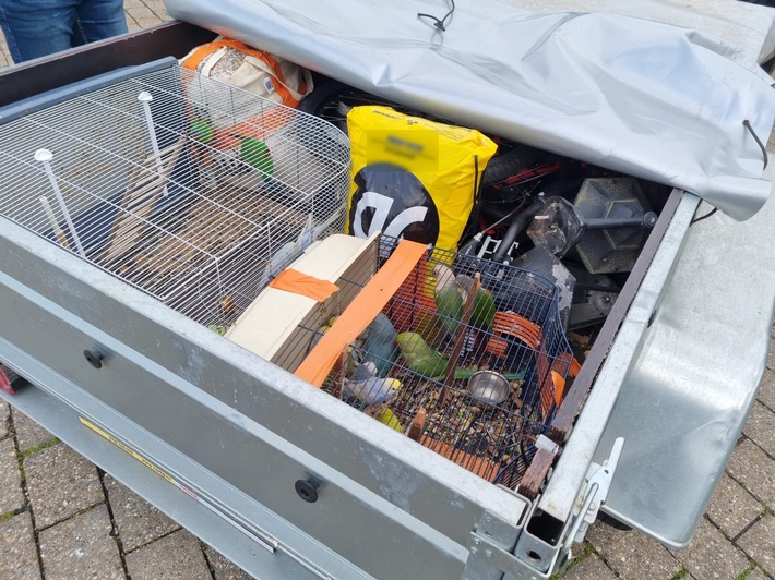 BPOL NRW: Bundespolizei stoppt illegalen Tiertransport von Sittichen