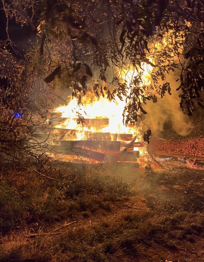 POL-PDLD: Kirrweiler - Brand von Baumstämmen