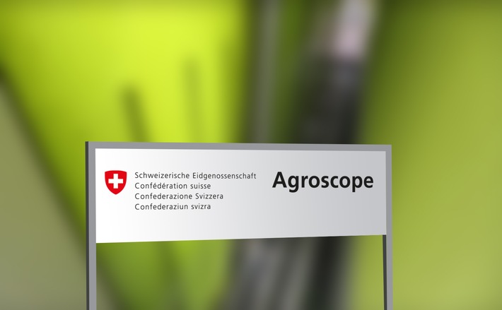 Lidl Schweiz fördert Forschung im Bereich Futtermittelersatz / Schweizer Algen als Futtermittel