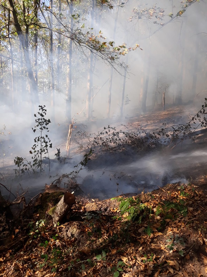FW-BO: Feuer in einem Waldgebiet in Bochum Stiepel