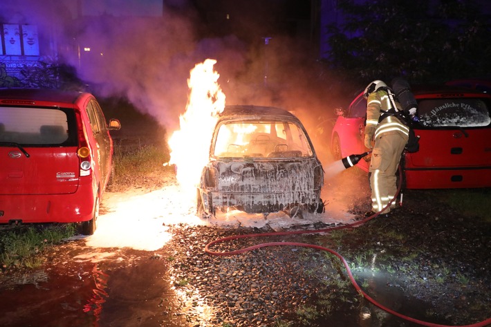 FW Dresden: Zahlreiche Brandeinsätze, darunter mehrere Vegetationsbrände im Stadtgebiet - Feuerwehr Dresden mahnt zur Vorsicht bei Trockenheit und Hitze
