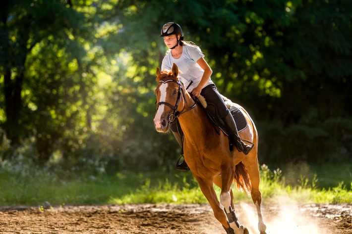 Tierhalterhaftpflicht: Reitsport gut abgesichert