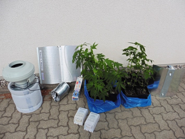 POL-NOM: 19 Cannabispflanzen bei Durchsuchung beschlagnahmt