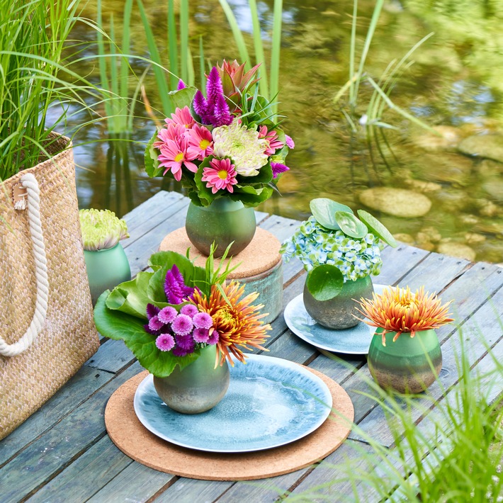 Sommerliches Farbspektakel mit der Chrysantheme / Sommerzeit ist Chrysanthemenzeit