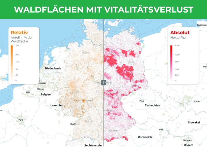 Wie steht es um den Gesundheitszustand des Waldes in meiner Gemeinde?