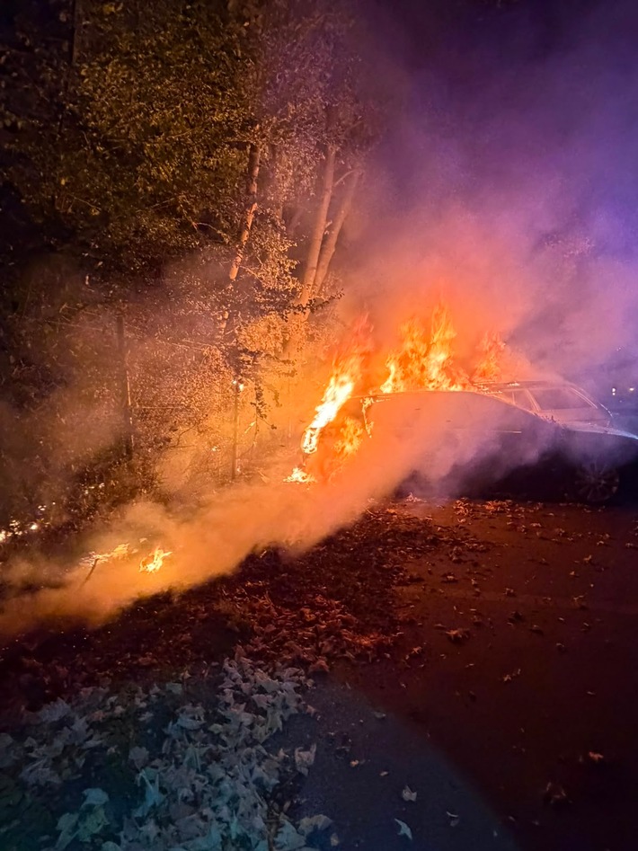 FW-EN: PKW-Brand greift auf Waldfläche über