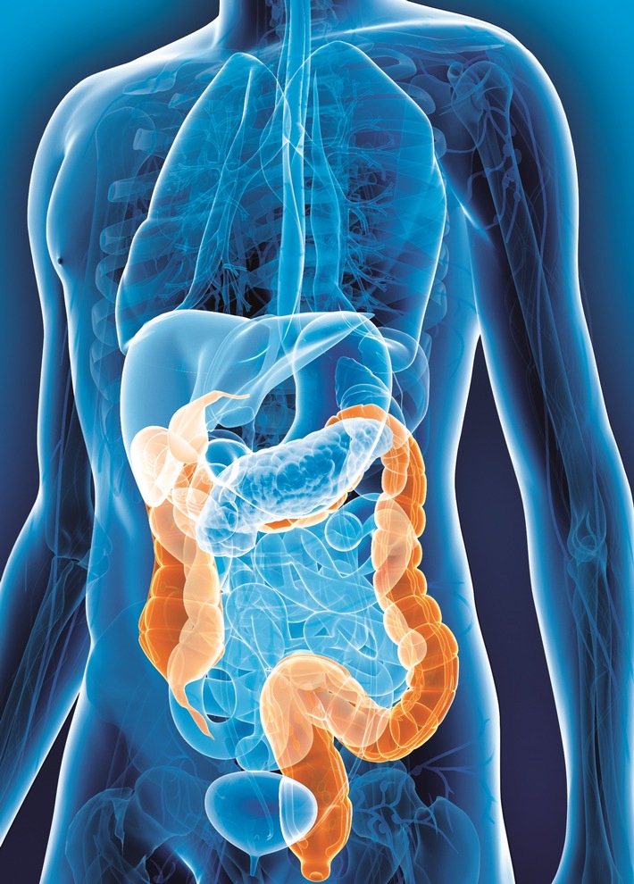 Darmkrebsmonat März: Forschung hilft / Mit Forschungsprojekten die Versorgung von Darmkrebspatienten verbessern