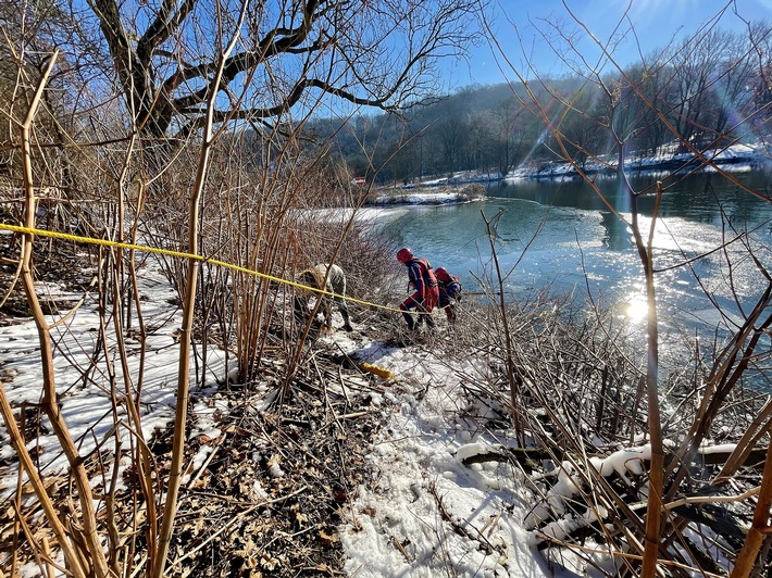 FW-E: Hund aus eiskaltem Wasser gerettet, "Brownie" kommt mit dem Schrecken davon