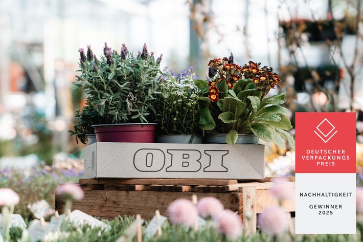 OBI Pflanzenträgerkarton_Deutscher Verpackungspreis_©OBI.jpg