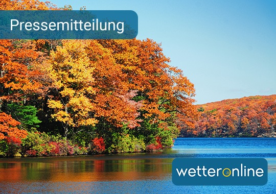 Bunte Blätter: Darum ist der Herbst so farbenfroh