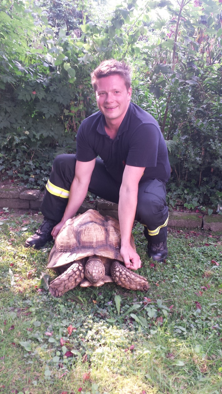 FW-D: Feuerwehr Düsseldorf fängt Riesenschildkröte ein