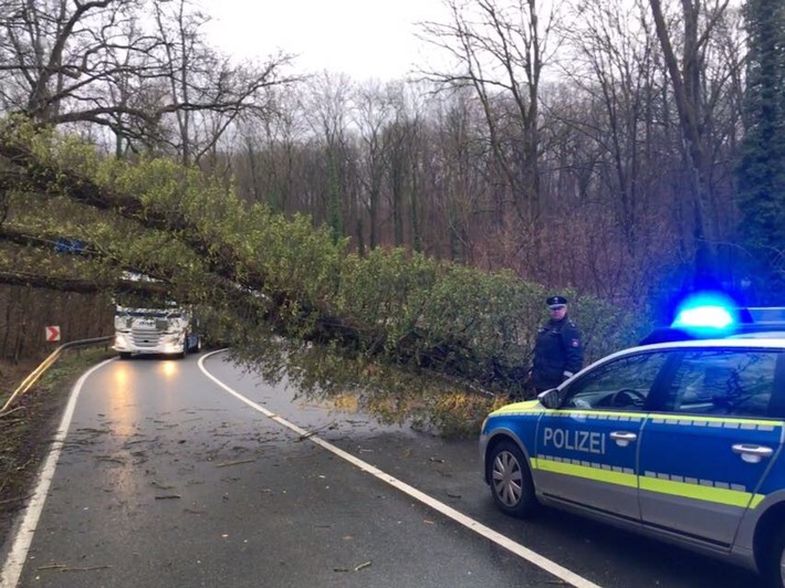 POL-HM: Baum umgestürzt - L550 gesperrt