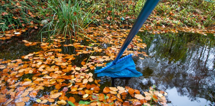 Gartenteiche für Fische winterfest machen