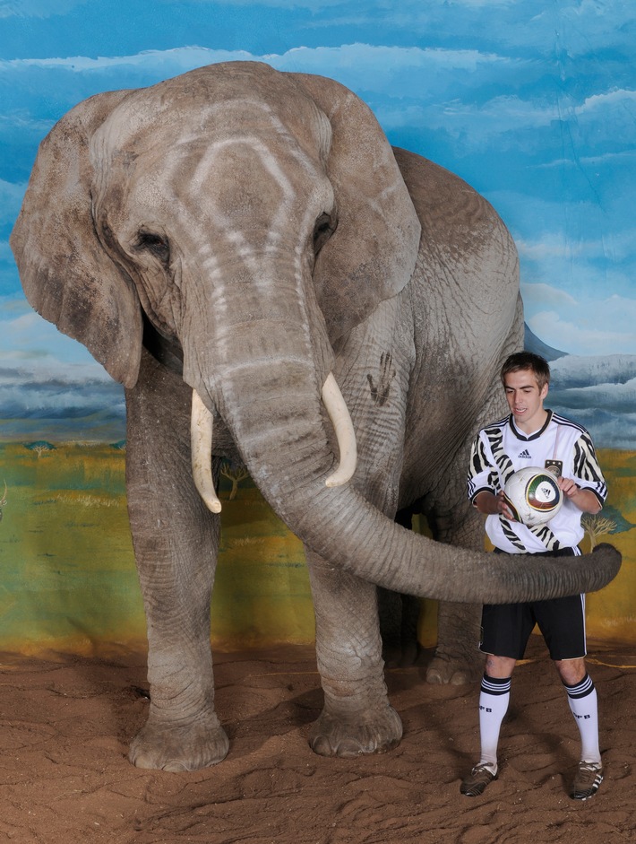 Lahm spielt mit Elefant, Schweinsteiger krault Löwen:  SPORT BILD zeigt außergewöhnliche Fotos der deutschen Fußball-Nationalspieler