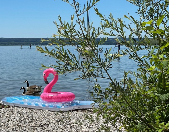 Auf zu neuen Ufern: Ammersee digital