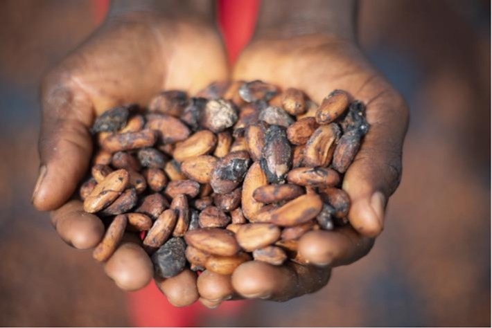 Ab 2023: 100 Prozent verantwortungsvoller Kakao für die Schokoladenprodukte von Mars Wrigley in Europa