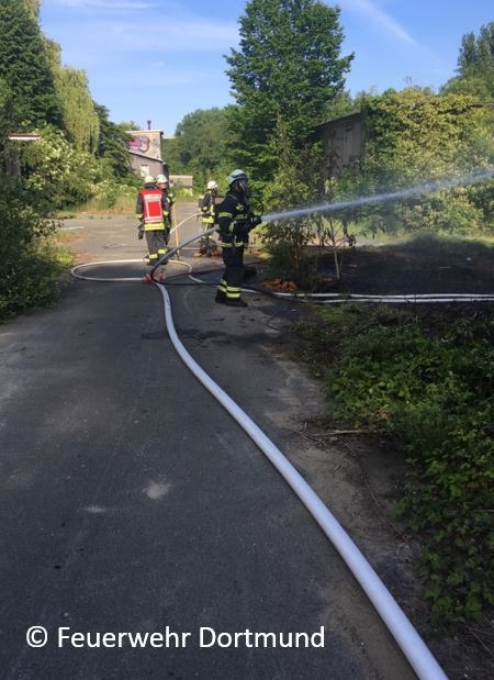 FW-DO: Flächenbrand auf einem stillgelegten Firmengelände