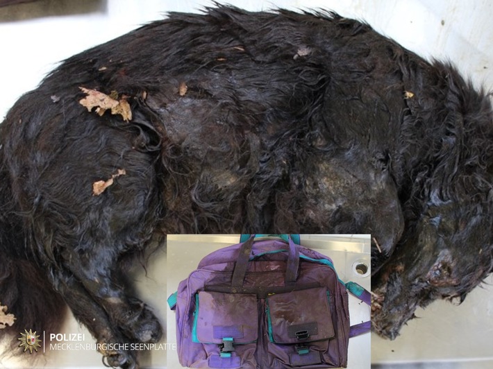 POL-NB: Toter Hund in einer Tasche entdeckt - Zeugen gesucht