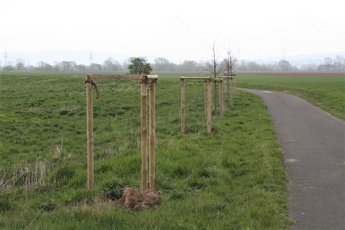 POL-HX: Vier Bäume am Weserradweg ausgegraben und entwendet