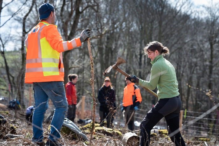Freiwillige mit dem Bergwaldprojekt am 15. November in Burbach im Einsatz für stabile Wälder – es gibt noch einige freie Plätze!