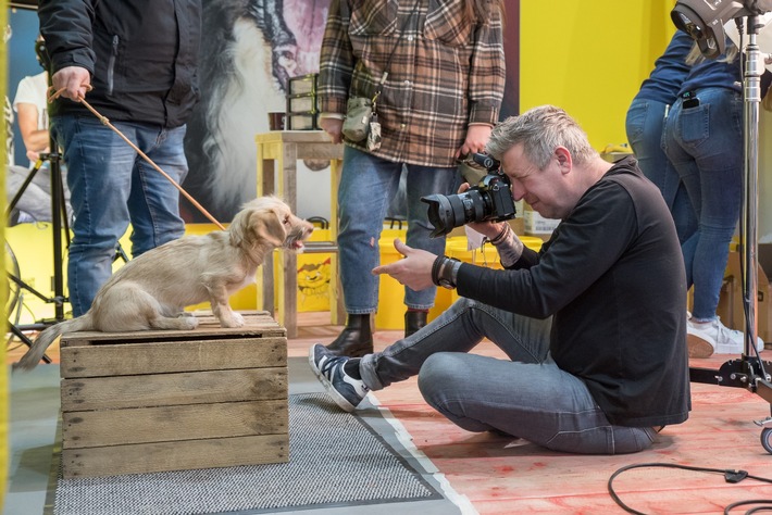 Mehr als 14.000-Besucher feierten die erfolgreiche Rückkehr der DOGLIVE Messe & Gala in Münster