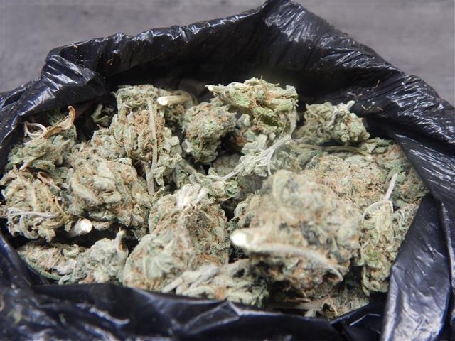 POL-PDMT: Trunkenheitsfahrt unter Einfluss von Drogen - Auffinden von Marihuanablüten