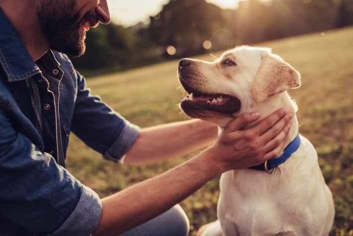 „Heimtiere machen happy“: ZZF zum Liebe-Dein-Haustier-Tag am 20. Februar