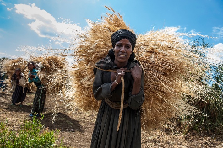 15. Oktober: Internationaler Tag der Frauen in ländlichen Gebieten / Frauen sind entscheidend für die ländliche Entwicklung in Äthiopien
