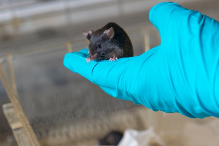 Des chercheuses et chercheurs impliqué-e-s dans l&#039;expérimentation animale participent à des stands pour dire clairement &quot;NON&quot; à l&#039;initiative d&#039;interdiction de l&#039;expérimentation animale et humaine