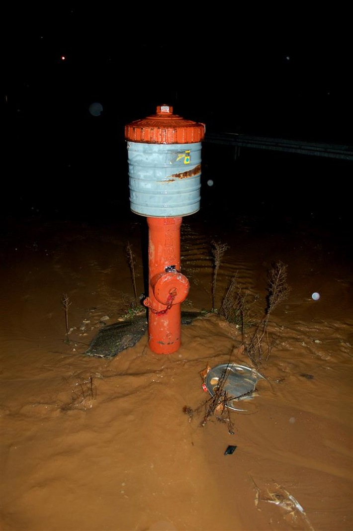 POL-PDLU: Verkehrsunfall mit Hydranten