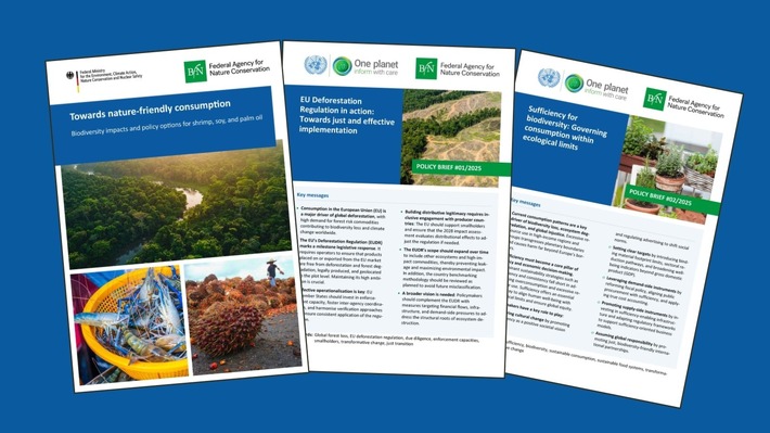 Weltweiter Biodiversitätsverlust – Wie die EU naturverträglichen Konsum fördern kann